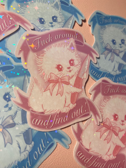 holographic kitten "fuck around & find out" STICKER